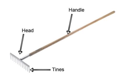 a rake|diagram of a rake.